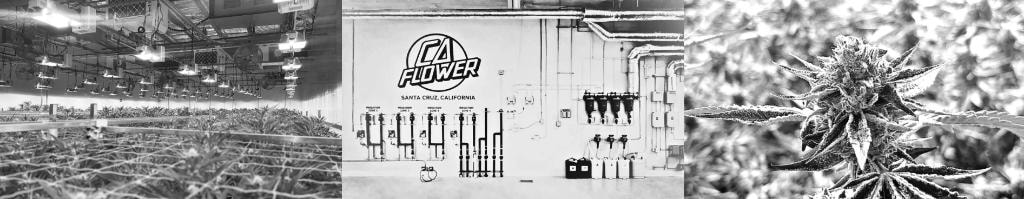 CA Flower cultivation facility